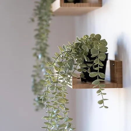 Apartamento La Acequia